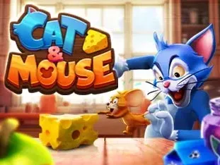 Cat & Mouse icon